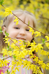 Similar image 8384232