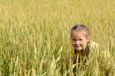 Similar image 8384312