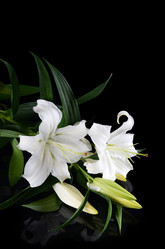 Similar image 8384324