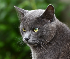 Similar image 8384411