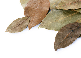 Similar image 8384444