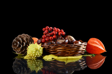 Similar image 8384531