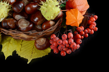 Similar image 8384532