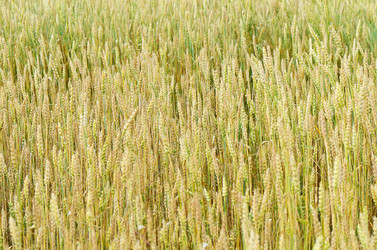 Similar image 8384546