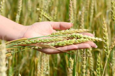 Similar image 8384549