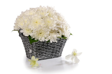 Similar image 8384559