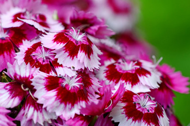 Similar image 8384582