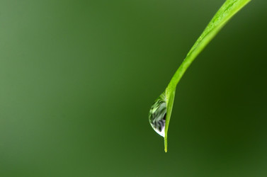 Similar image 8384598