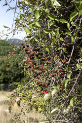 Similar image 8384613