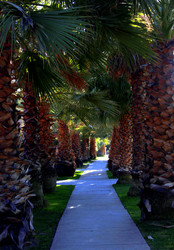 Similar image 8384626