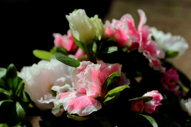 Similar image 8384627