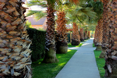 Similar image 8384630