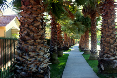 Similar image 8384631