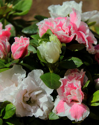 Similar image 8384632