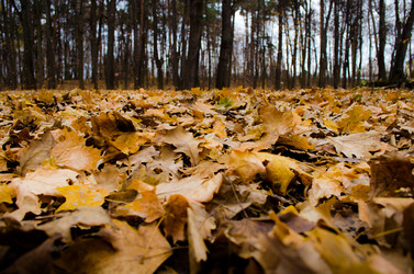 Similar image 8384686