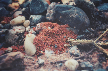 Similar image 8384699