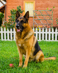 Similar image 8384716