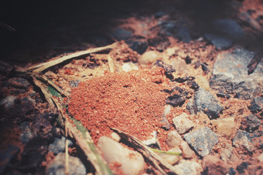 Similar image 8384731