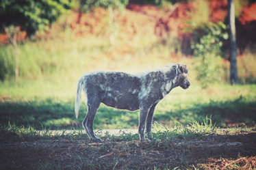 Similar image 8384741