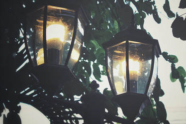 Similar image 8384745