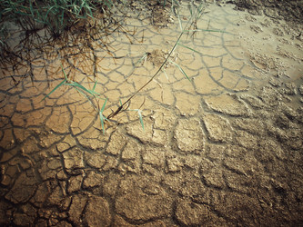 Similar image 8384761