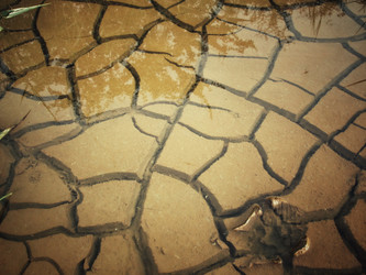 Similar image 8384762