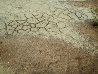 Similar image 8384767