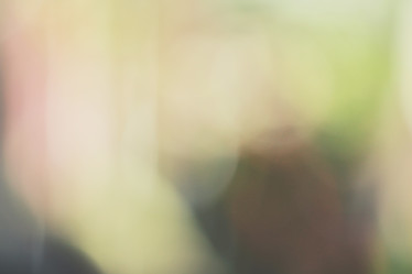 Similar image 8384772