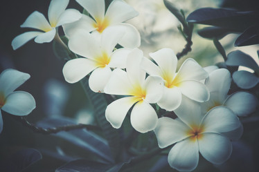 Similar image 8384781