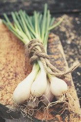 Similar image 8384797