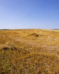 Similar image 8384835