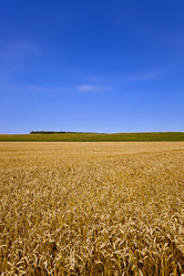 Similar image 8384849