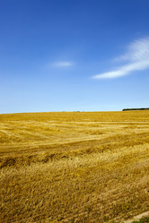 Similar image 8384850