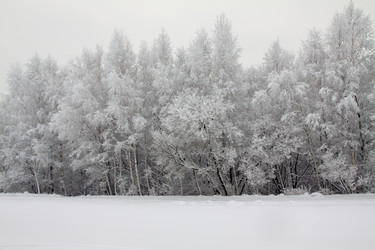 Similar image 8384865