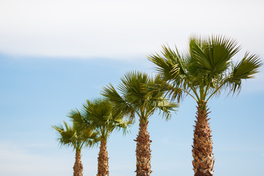 Similar image 8384938