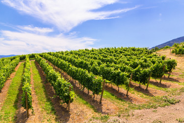 Similar image 8385271