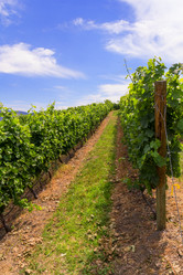 Similar image 8385273