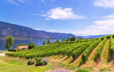 Similar image 8385274