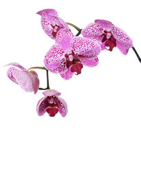 Similar image 8385405