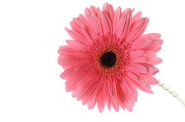 Similar image 8385422