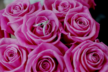 Similar image 8386238