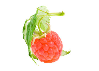 Similar image 8386480