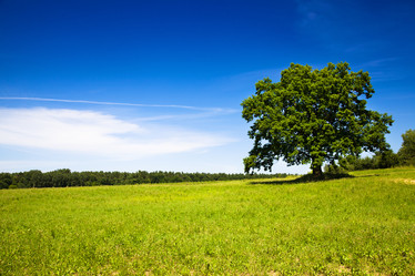 Similar image 8386497