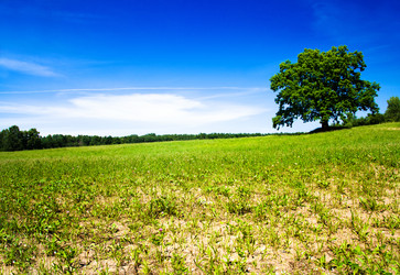 Similar image 8386498