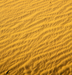 Similar image 8386631