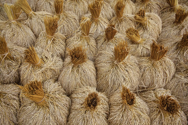 Similar image 8386770