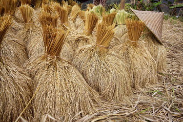 Similar image 8386771