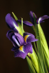 Similar image 8386791