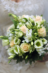 Similar image 8386795