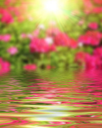 Similar image 8386823